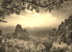 Sepia