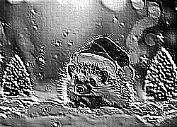 Skamielina