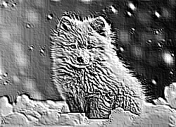Skamielina