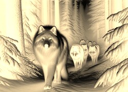 Sepia + Negatyw