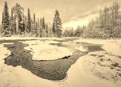 Szary + Sepia