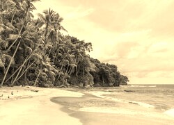 Szary + Sepia