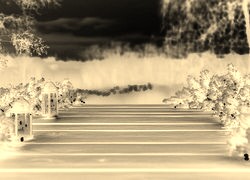 Sepia + Negatyw