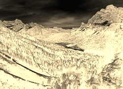 Sepia + Negatyw