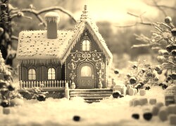 Szary + Sepia