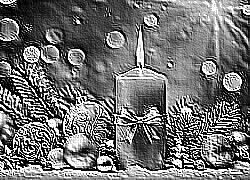 Skamielina