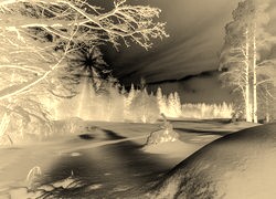Sepia + Negatyw