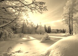 Sepia