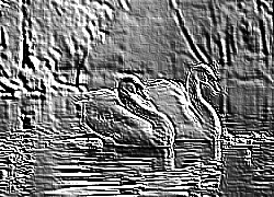 Skamielina