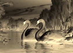 Sepia + Negatyw