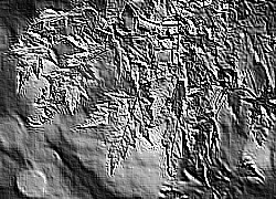 Skamielina