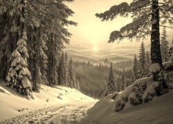 Szary + Sepia
