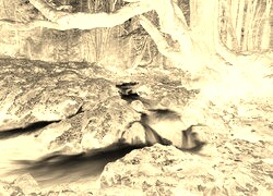 Sepia + Negatyw