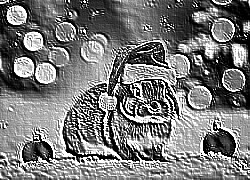 Skamielina