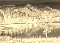 Sepia + Negatyw