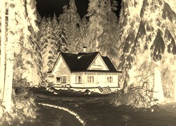 Sepia + Negatyw