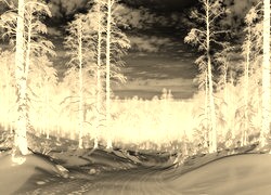 Sepia + Negatyw