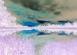 Negatyw