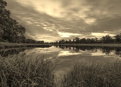 Szary + Sepia