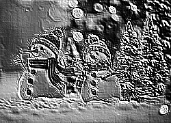 Skamielina