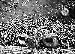 Skamielina