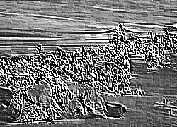 Skamielina