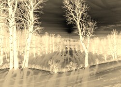 Sepia + Negatyw