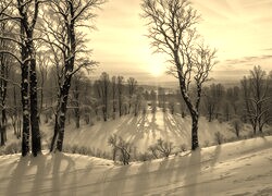 Szary + Sepia