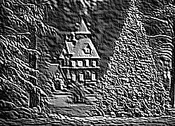 Skamielina