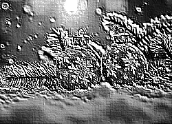 Skamielina