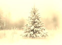Szary + Sepia