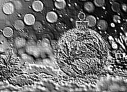 Skamielina