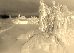 Sepia + Negatyw
