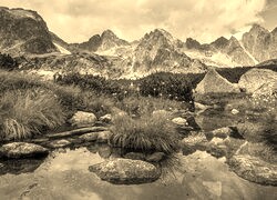 Szary + Sepia