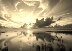 Szary + Sepia