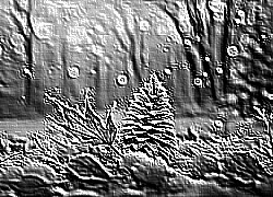 Skamielina