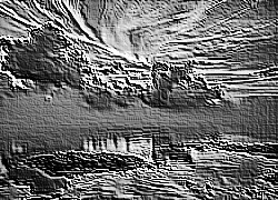 Skamielina