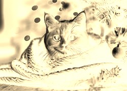 Sepia + Negatyw