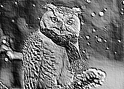 Skamielina