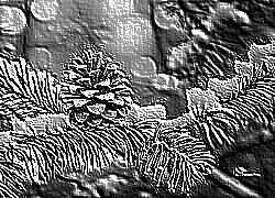 Skamielina