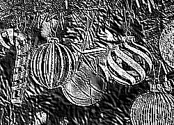 Skamielina