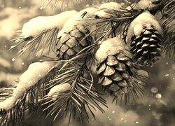 Szary + Sepia