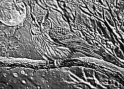 Skamielina