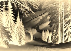 Sepia + Negatyw