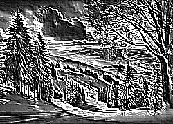Skamielina