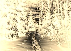 Sepia + Negatyw