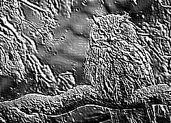 Skamielina