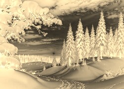 Sepia + Negatyw