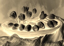 Sepia + Negatyw