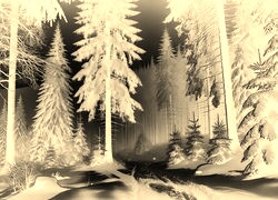 Sepia + Negatyw